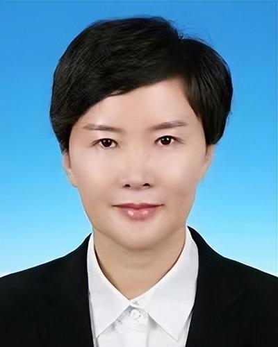 密云区最新干部公示，全面透视与观点分析