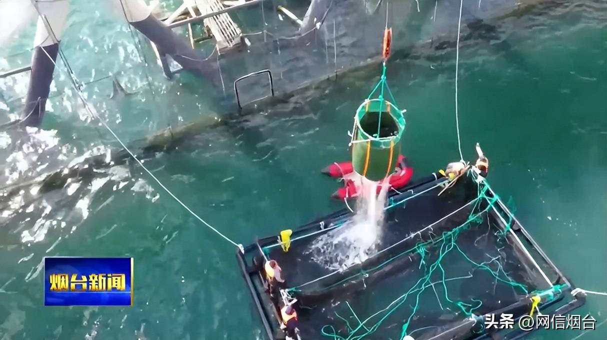 青岛汉德焊自动化 第1035页