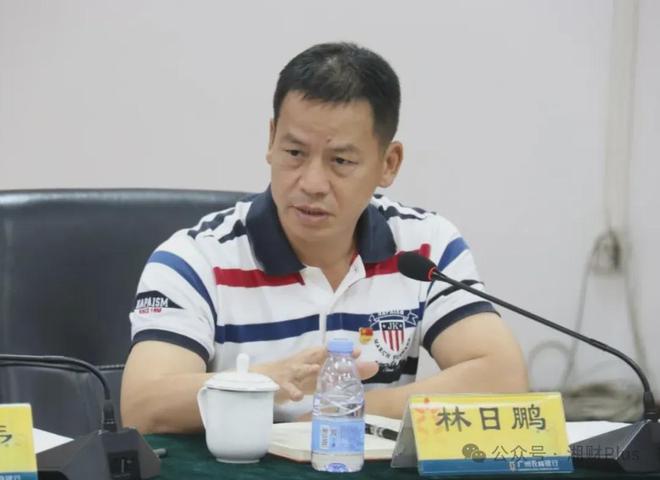 广州农商银行原副行长罗金诗被查，背景解析与应对步骤指南