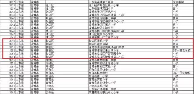 年底白名单项目
