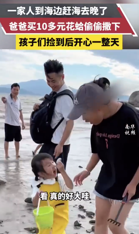 温馨的父爱，爸爸买花蛤撒海滩，只为女儿的快乐发现