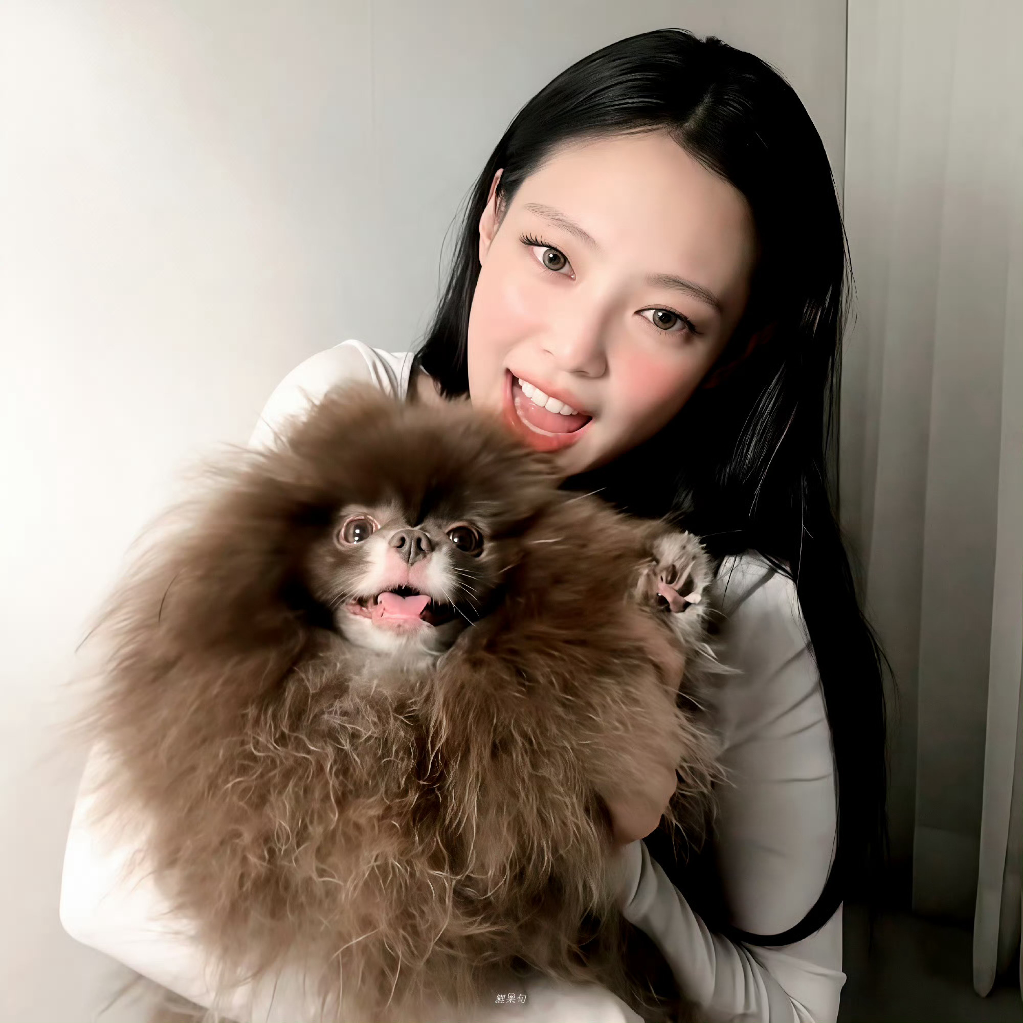 Jennie推特被封，应对与解决指南（适用于初学者及进阶用户）