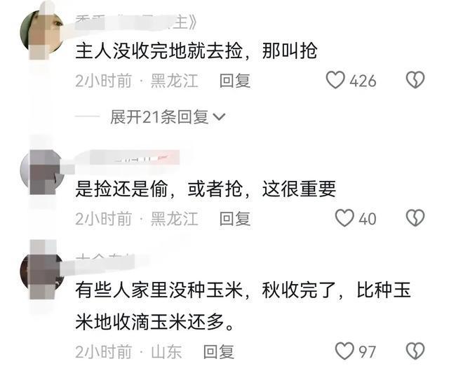 老人拾玉米被打致死伤事件揭秘，当地回应与拾玉米背后的故事