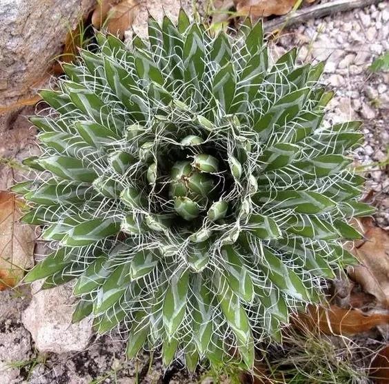 台湾花莲县海域发生4.1级地震，感受大自然的震撼力量瞬间