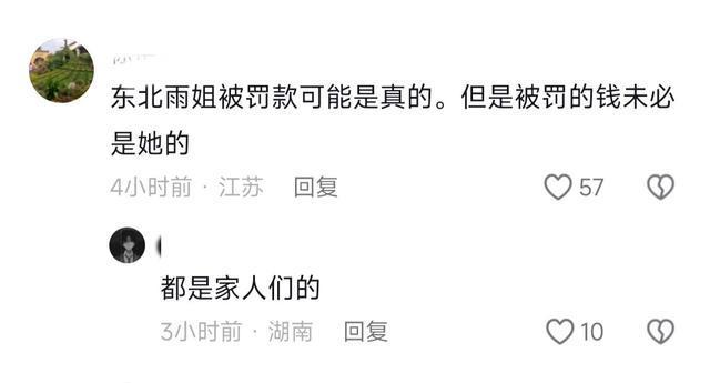 东北雨姐诚恳道歉，愿承担法律责任声明