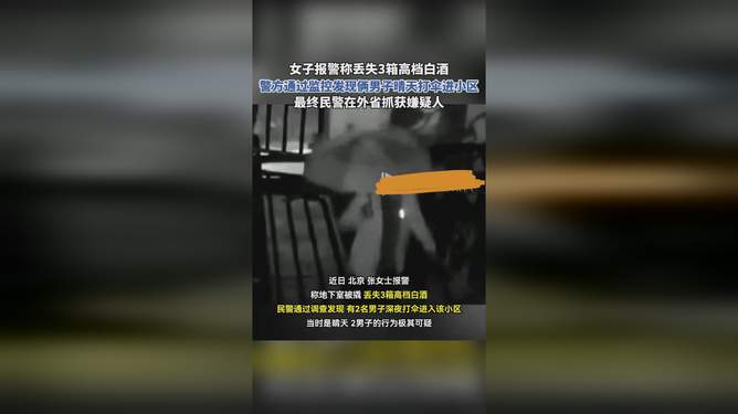 晴天打伞进小区被查出盗窃事件，分析与应对步骤指南