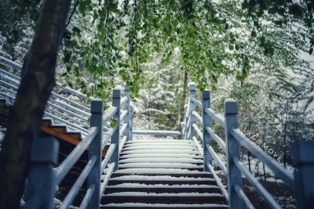 西宁烂尾楼业主维权遭拒，勇敢之心挑战自然美景的呼唤