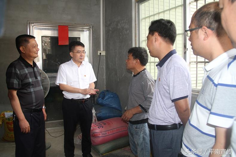 网友举报过期大米流向乡村学校，如何有效完成举报任务？