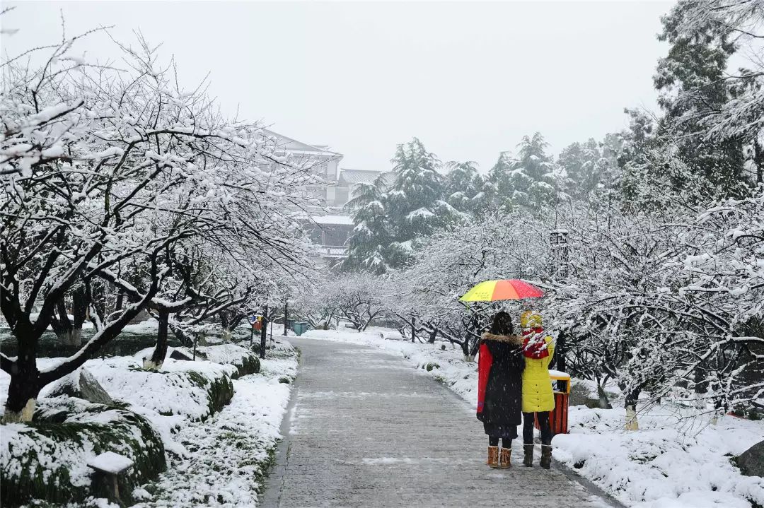 成都首场秋雪降临，如何欣赏与体验秋雪之美