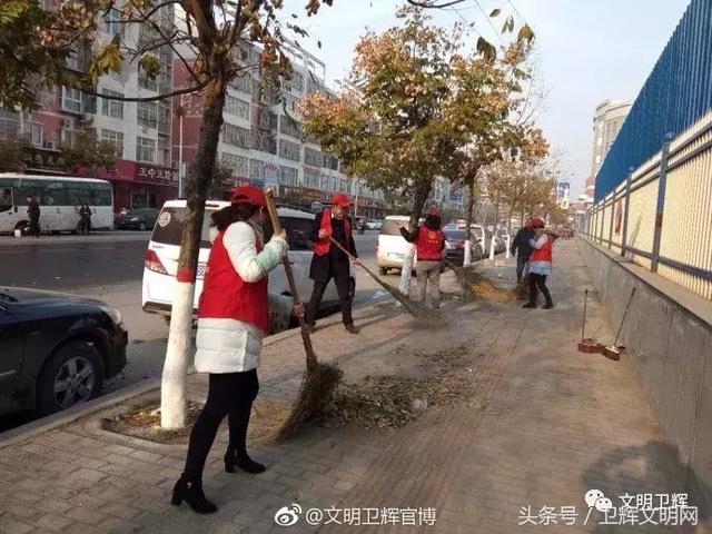 卫辉最新招聘信息揭秘，小巷里的职业机遇等你来探索！