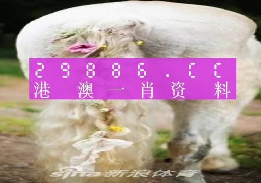 今晚一肖一码澳门一肖四不像,现象分析定义_SBZ82.924媒体版