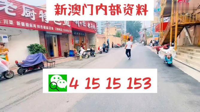2024新澳门天天开好彩大全49,实时分析处理_KMG82.698乐享版