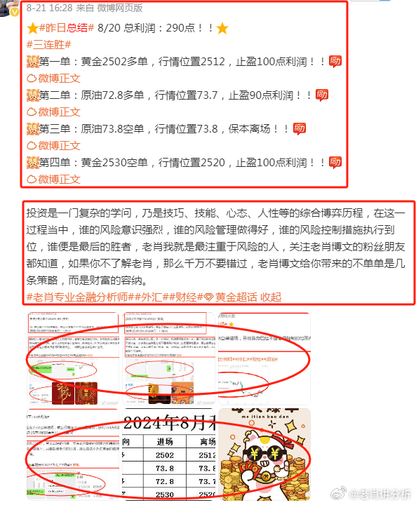 2024正版新奥管家婆香港,專家解析意見_PYU82.493升级版
