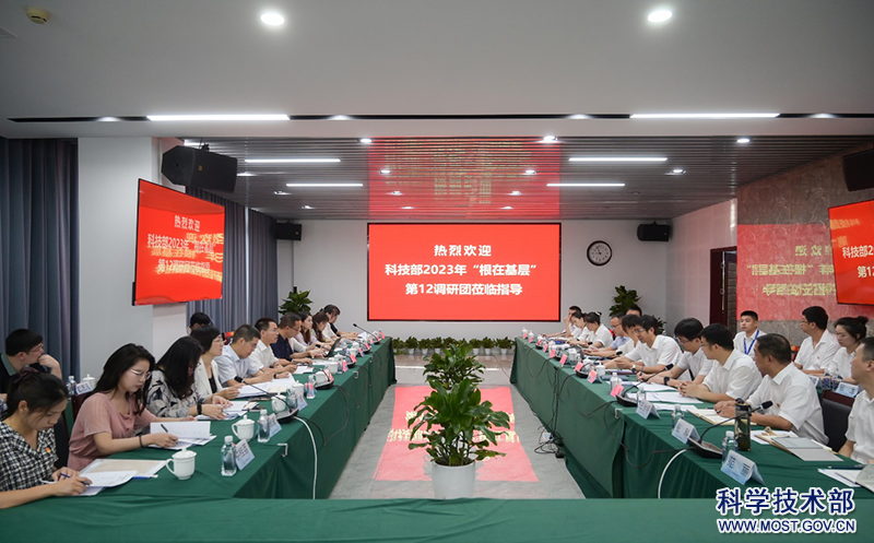 王中王精准资料,深入研究执行计划_YSR82.100艺术版