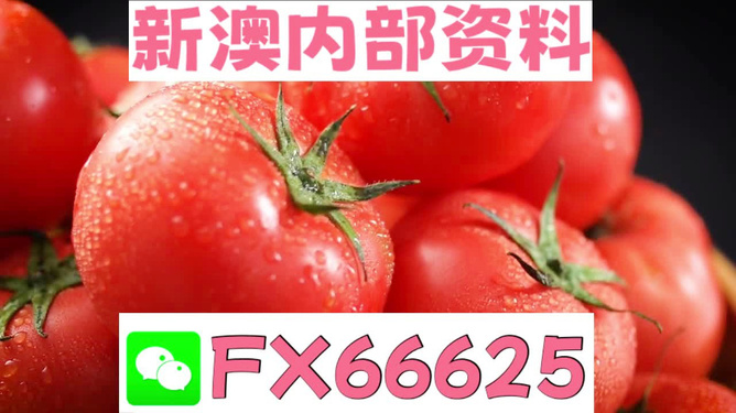 新澳最新版资料免费大全-红桃K,灵活性执行方案_EVP82.248物联网版