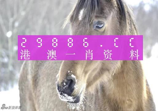 2o24澳门正版精准资料49马,自然科学史力学_LOT82.975豪华款