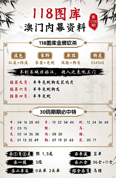 澳门一肖100准免费,全面实施策略设计_TTQ82.787见证版