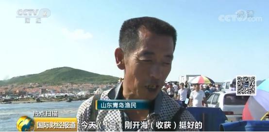 青岛螃蟹价格实时更新，最新行情报告