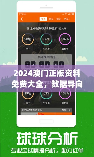2024年新澳门王中王免费,专业数据解释设想_ZNH82.534抓拍版