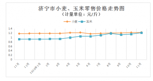 济宁玉米价格最新行情，科技与生活的融合影响分析