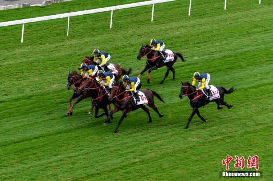 2024澳门买马最准网站,执行验证计划_QCK66.116硬件版