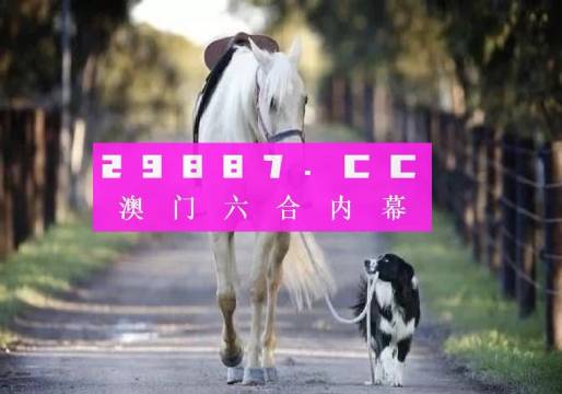 4949澳门彩网站,快速问题解答_KIR66.514曝光版