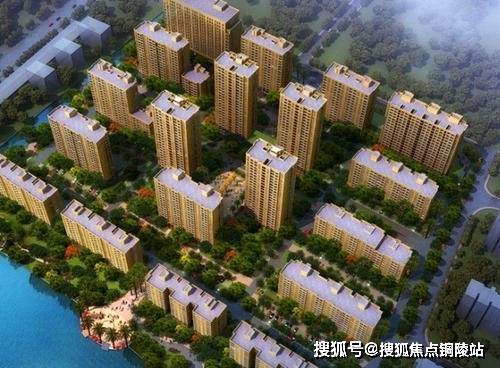 水仙最新，小巷中的秘密花园揭秘