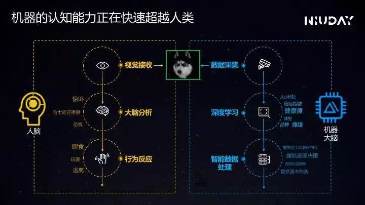 黑域最新探索，双向视角下的挑战与机遇