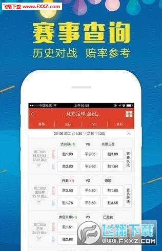 澳门王中王开奖只开结果,数据详解说明_XGZ66.620启动版