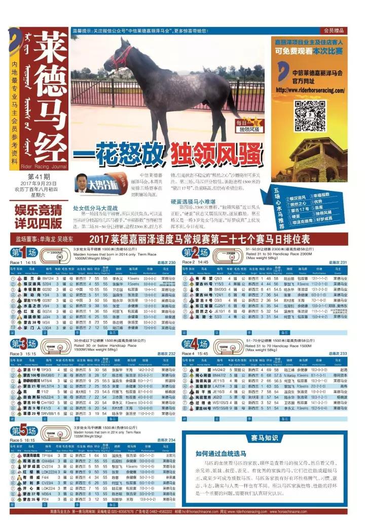 13297dcom马会传真查询,高效计划实施_JTJ66.378高级版