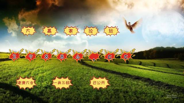 澳门4949开奖现场直播+开,可依赖操作方案_BRL66.501外观版