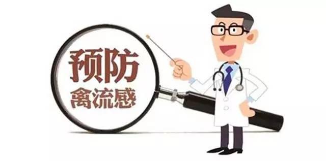 禽流感H7N9最新消息，全面指南，了解、防范与应对的详细步骤