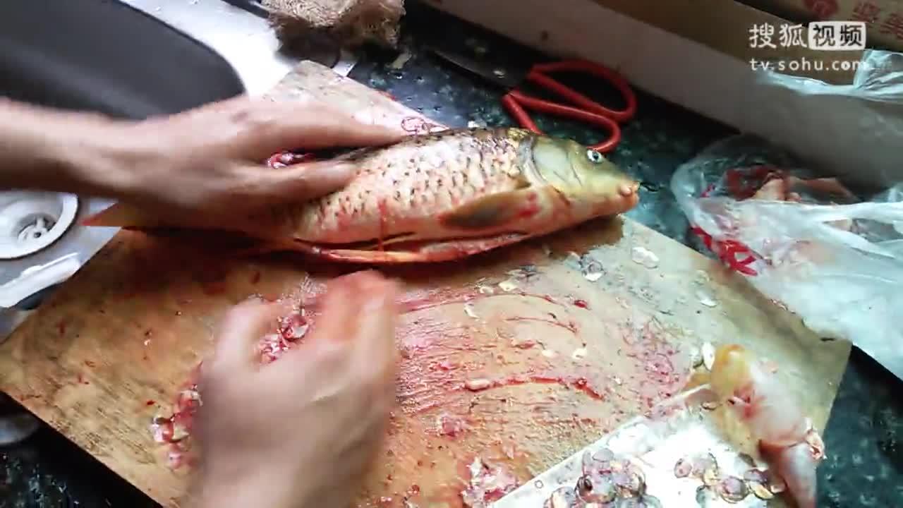 杀鱼弟最新动态，掌握杀鱼技巧与步骤的全面指南