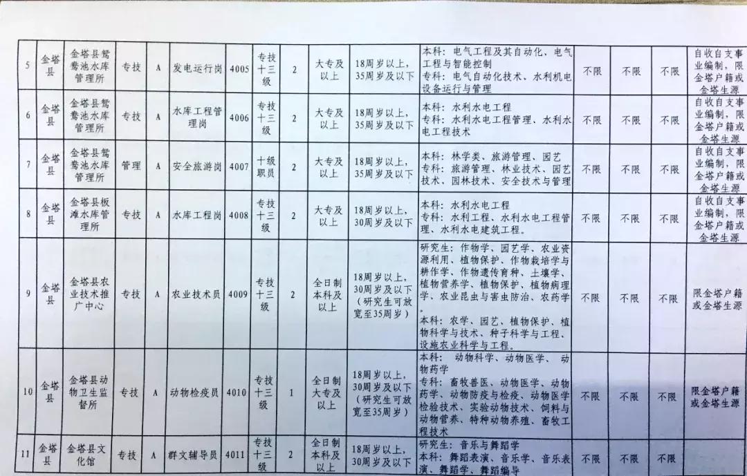 金塔最新招聘信息及获取指南