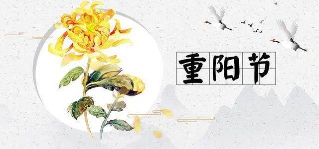 第2647页