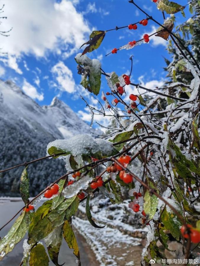 成都今年首场秋雪纷飞，银装素裹迎初雪季