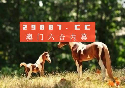 澳门最准确的跑狗图,行动规划执行_TWG15.622高速版