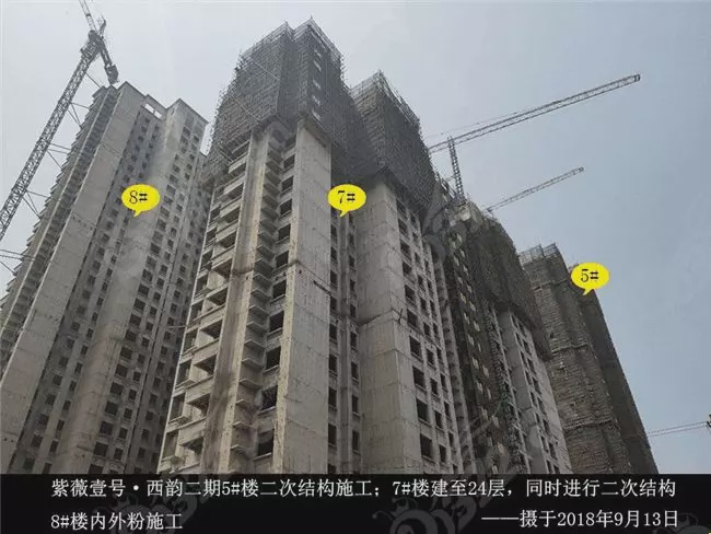 紫薇一号西韵最新动态，学习变化的力量，自信与成就感的源泉