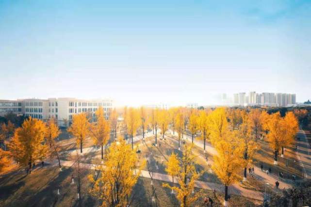 2024年开奖结果新奥今天挂牌,科学解释分析_MBT15.607运动版