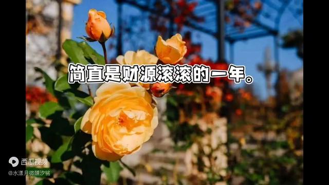 2024年澳门金牛版网站,创新解释说法_RPI15.909SE版