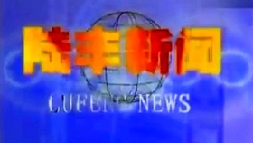陆丰网最新消息新闻综述