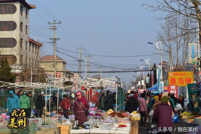 莱州朱桥狗市最新消息,莱州朱桥狗市最新消息