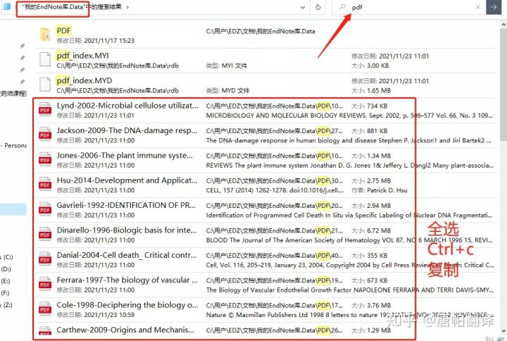 0149002.cσm查询,澳彩资料,仿真方案实施_HUI15.592游戏版