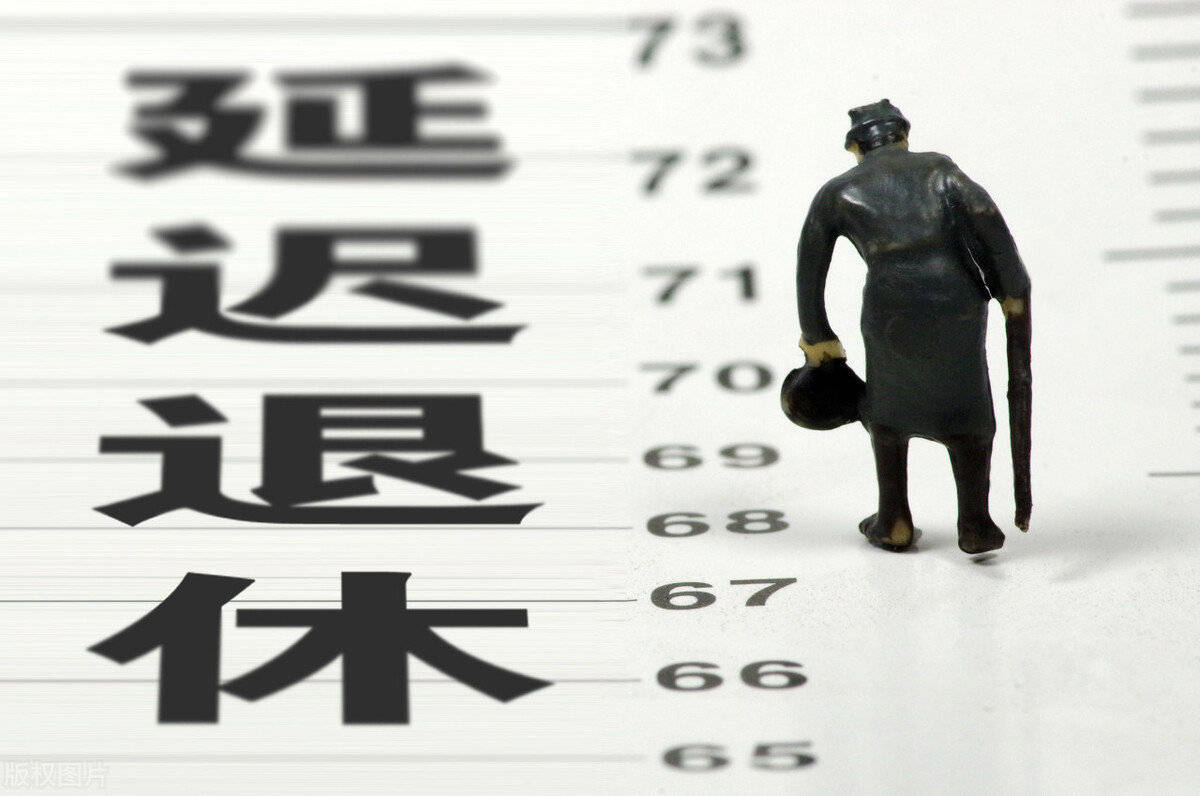 最新动态解读