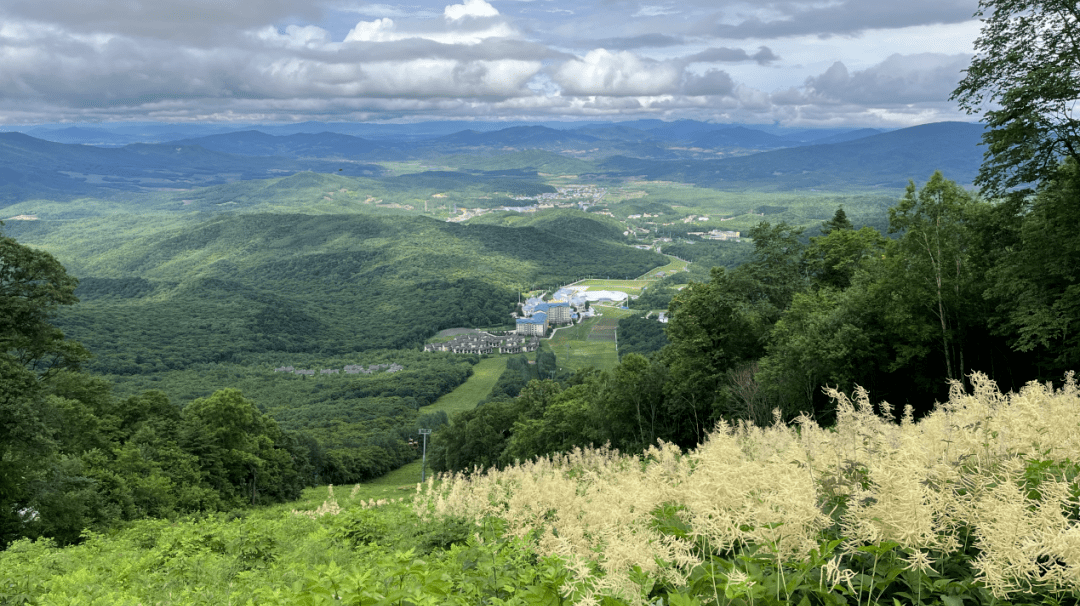 云域最新地址，解锁自然美景，心灵平静之旅