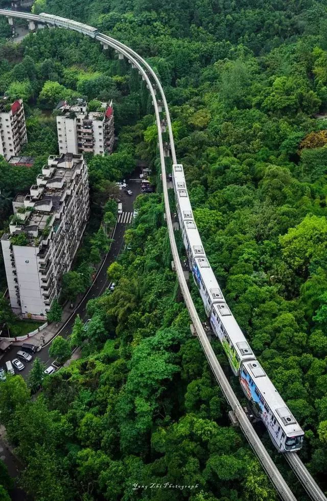 重庆最新电影与自然探索之旅，寻找内心的平和