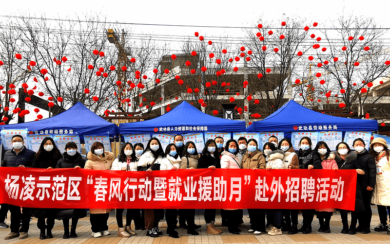 杨凌最新工作招聘信息汇总