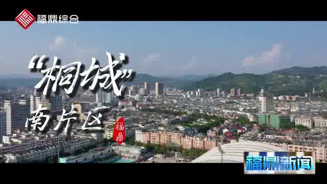 安徽桐城最新新闻,安徽桐城最新新闻