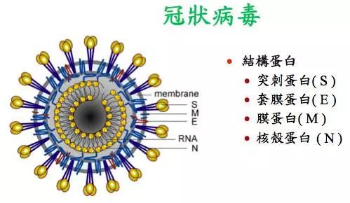肺炎新型病毒实时更新动态，最新状况分析