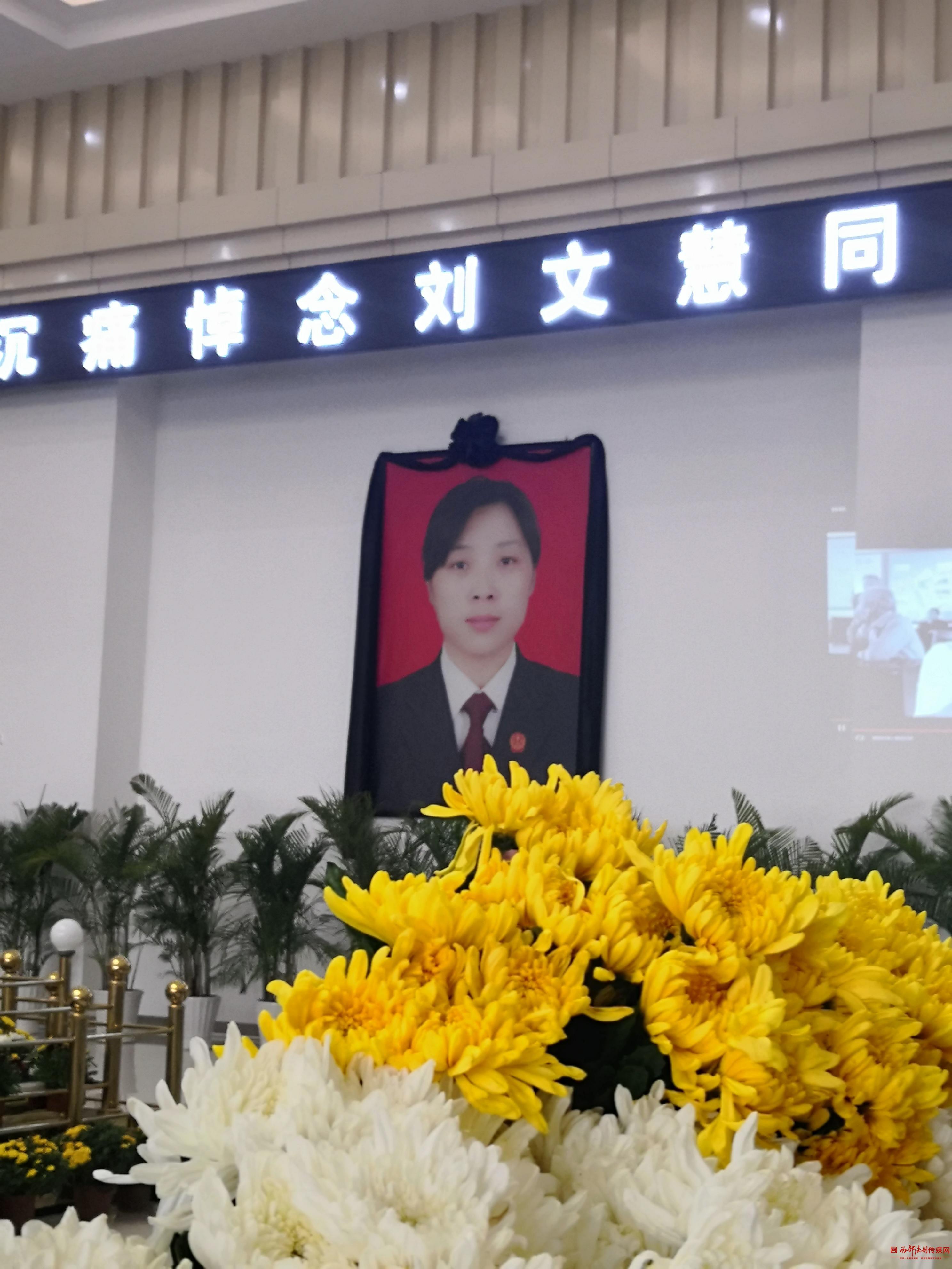 社会关注与心理应对，最新车祸遇难者遗体照片引发社会反响